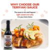 Teriyaki Soy Sauce Seasoning