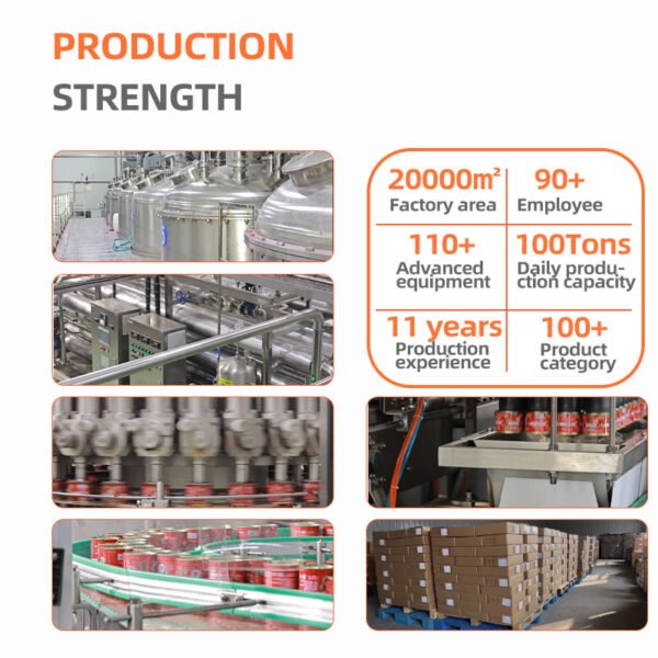 2-9.jpg 100% Puree Tomato Paste Ketchup