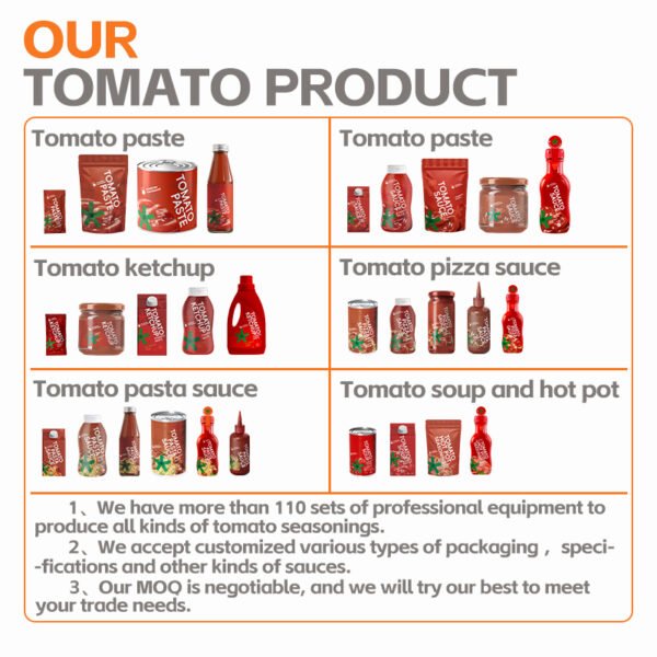 3-10.jpg 100% Puree Tomato Paste Ketchup