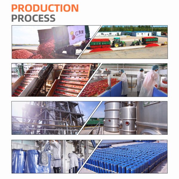 50g Tomato Paste Sachet Ketchup