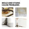 9730448047570A6AD6C760E5F76BD3EC.jpg Household Mold & Stain Cleaner