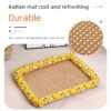 Cooling Non-Slip Pet Mat